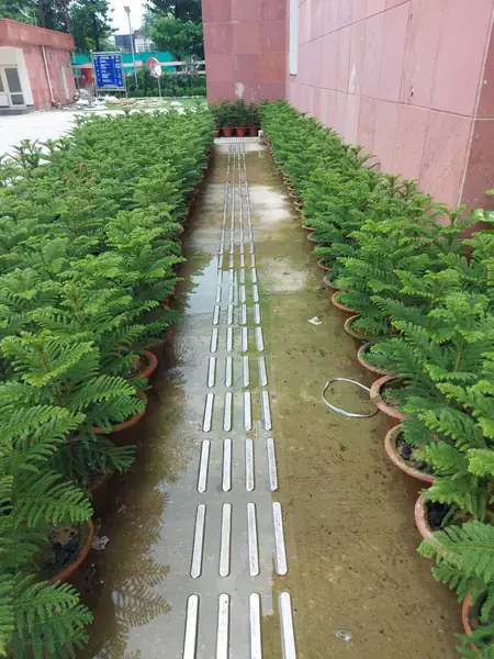 CGST BHAVAN LUCKNOW - tactile installation photo 9